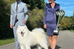 Best in Show Moisson 2023